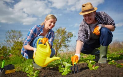 Get Ready for Spring Gardening Without Any Injuries!