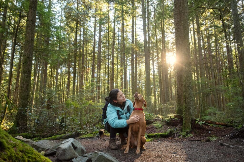 A woman in a light blue jacket crouches on a forest trail, smiling as she pets her brown dog. Sunlight streams through the tall, dense trees in the background, creating a warm and peaceful outdoor scene.