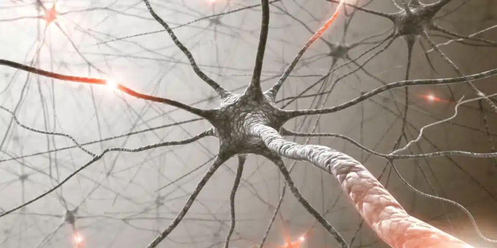 Close-up illustration of interconnected neurons, showing branching nerve fibers with glowing signals traveling along them.