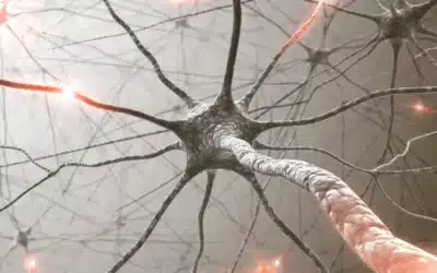 Your Nervous System Needs Attention, Too