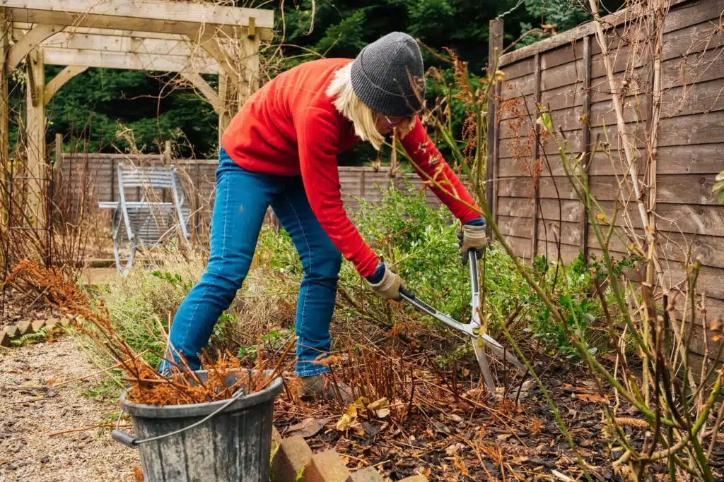 A woman in a red fleece and grey beanie bends over to prune garden shrubs with large lopping shears on a crisp day, with a bucket of yard waste in the foreground. Gardening is a high-reward activity that often involves prolonged bending, reaching, and repetitive shearing motions. This frequently leads to lower back strain and "tennis elbow" (lateral epicondylitis). We offer chiropractic care, spinal adjustments and ergonomic advice to help gardeners maintain their hobbies without the "post-yardwork" ache, keeping your joints fluid and your posture protected.